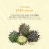 TEIA COSMETICOS Bálsamo labial humectante con color de ingredientes naturales