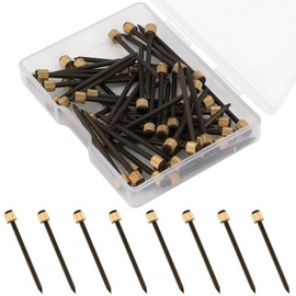 AIEX 50Pcs Picture Hanging Nails Picture Hang Solutions Plaster Picture Frame Hangers Brass Head Hanging Pins with Plastic Storage Box 5-100 Pound(35mmX1.8mm)