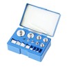 HFS(R) 17pcs M2 Grade Calibration Weight Set 100g 10g 10g