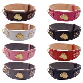 Unique Cane Corso GOLD Heavy Duty 2.5 inch Wide Leather Dog Collar with Cane Corso Head Motif (X-Large: 27" - 32", Black)