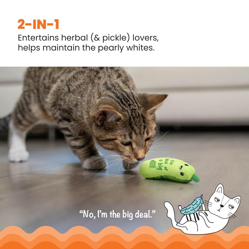 Catstages Crunchy Pickle Kicker Toy with Catnip and Dental Mesh,