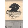 Black Pug Rubber Stamp, Dog in Grass