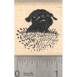 Black Pug Rubber Stamp, Dog in Grass