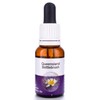 Living Essences Queensland Bottle 15ml