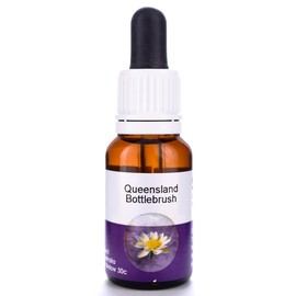 Living Essences Queensland Bottle 15ml