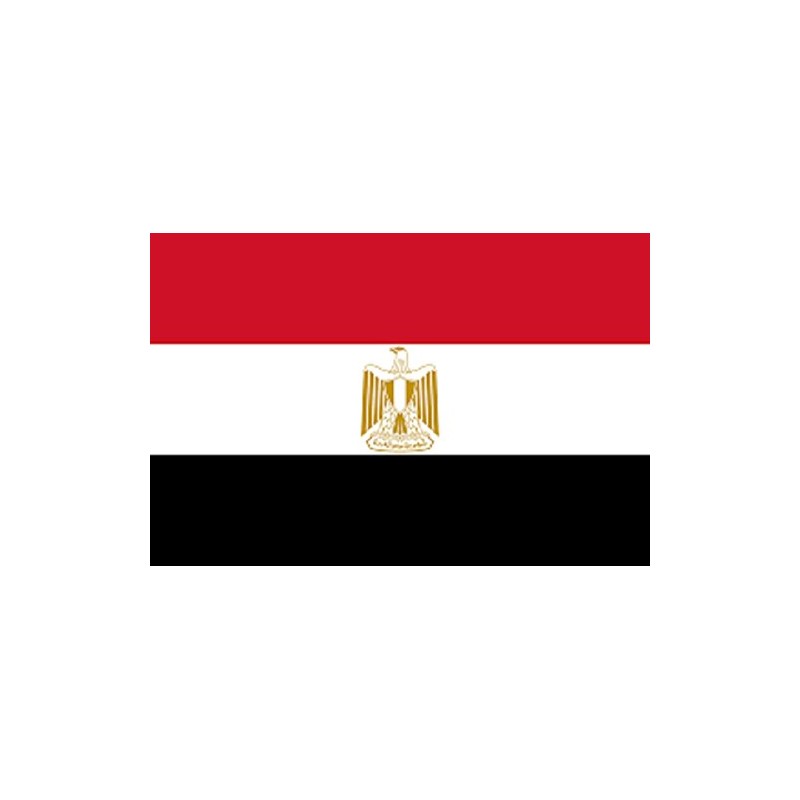 Egypt 12"x18" Single Sided Polyester Flag