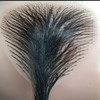 Simulation of Female Fake pubic Hair Adhesive Prosthetic Hair Paste