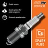 Autolite 295 Small Engine Spark Plug, Pack of 1