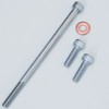 C.F.POSH 271821 CF POSH Cylinder Head Side Screw Set, Stainless Steel, 12V Monkey