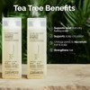 Giovanni Invigorating Tea Tree Shampoo - Triple Treat Strengthening, Conditioning,
