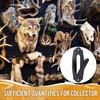 Lounsweer 15 Pack European Skull Mount Hanger Skull Wall Mount
