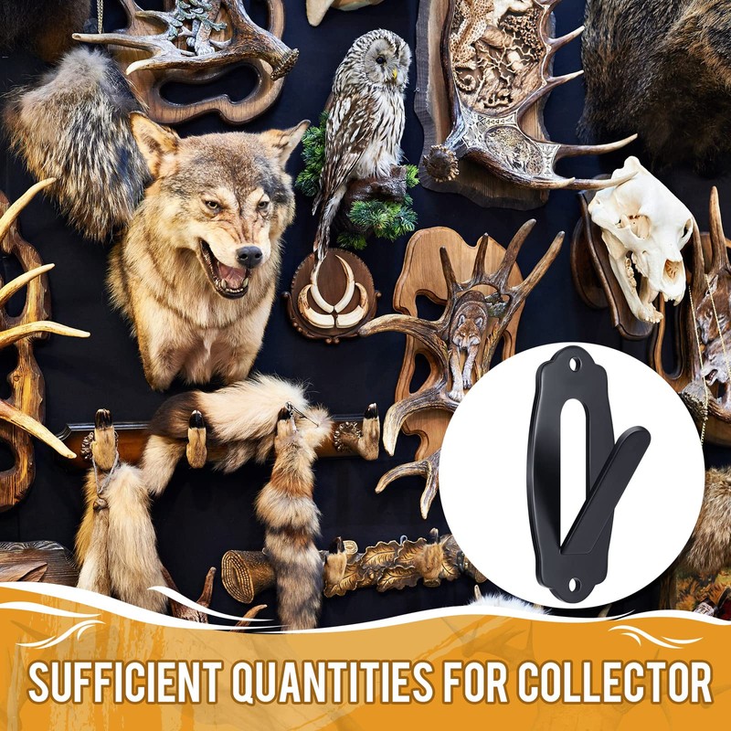 Lounsweer 15 Pack European Skull Mount Hanger Skull Wall Mount