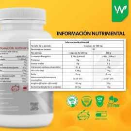 Akkermansia 120 Caps  Jengibre  Berberina  Mejora Digestión y Metabolismo  Fortalece Microbiota y Salud Intestinal                                    