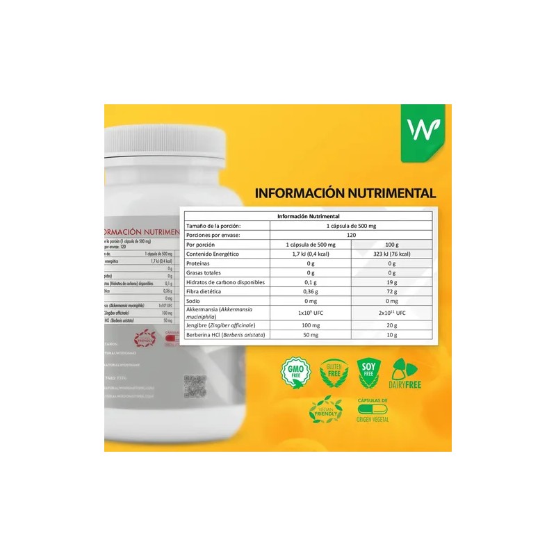 Akkermansia 120 Caps Jengibre Berberina Mejora Digestión y Metabolismo Fortalece