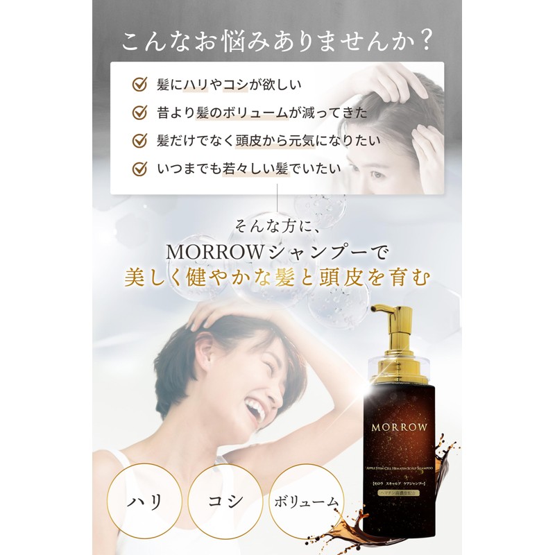 MORROW Hematin Shampoo Amino Acid Scalp Beauty Salon Men's [Aging