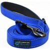 Max and Neo Reflective Nylon Dog Leash - We Donate