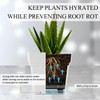 6-Pack 7'' Square Planters with Self-Watering Design – Heavy-Duty Plastic