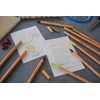 Fineliner + Premium Fibre-Tip Pen - STABILO point 88 +
