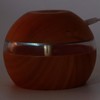 Air Humidifier Aromatherapy Diffuser with LED RGB Night Light for