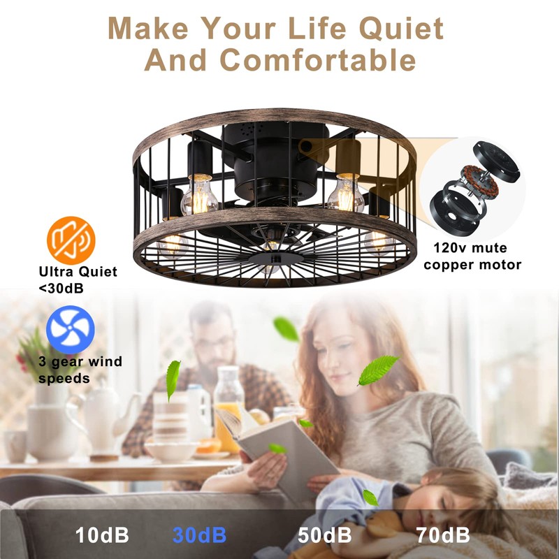 Ohniyou Flush Mount Caged Ceiling Fan with Lights Remote Control,