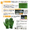 Casco SF-2030L Palette Golf Gloves, Women's, Both Hands, Fingertip Cut