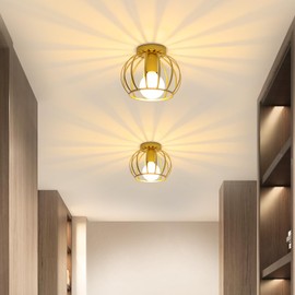 Pheashine Ceiling Light Gold, Industrial Ceiling Light Metal in Cage-Shaped, E27 Round Lampshade Pendant Lamp for Hallway, Entrance Area, Staircase, Balcony, Diameter 20 cm