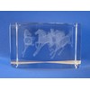 Feng Shui Import Laser Engraved 3D Horses in Crystal Glass
