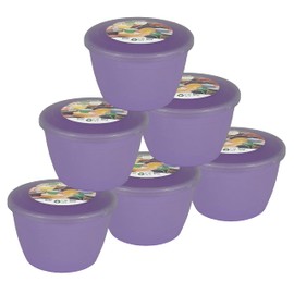 Just Pudding Basins Pastel Colours 1/2 Pint 0.5pt Basin and Clear Lid Pack of 6 Plastic Steaming Bowls (Lilac)