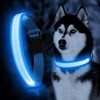 YFbrite Ultra Light USB Rechargeable LED Dog Collar - Adjustable