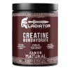 Creatina Suplemento Monohidratada Gladiator 250g Sabores Natural