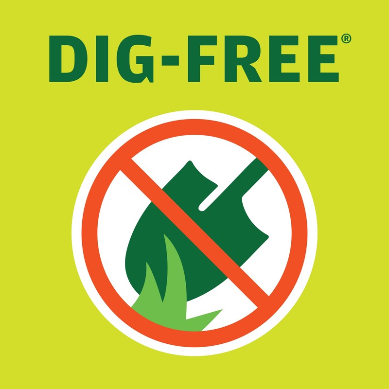 Master Mark Dig-Free Classic Landscape Edging with Anchoring Spikes &