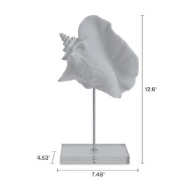 Elements Decorative White Resin Conch Shell Figurine on Stand, Modern Coastal Design