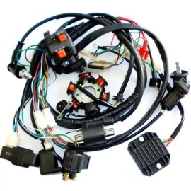 Unbranded/Generic Full Electric Engine Wiring Harness Loom GY6 150cc Quad Bike ATV Buggy Gokart