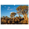 Fascination Namibia (Wall Calendar 2026 DIN A3 Landscape), CALVENDO Monthly