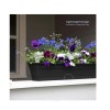 Bloem Dura Cotta 30 In. Black Plastic Window Box Planter