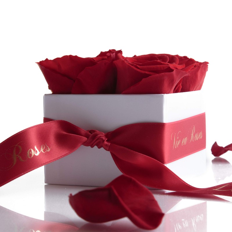 ROSEMARIE SCHULZ Heidelberg Preserved Roses - Flowers Shelf Life 3