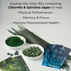 ENERGYbits/RECOVERYbits - Organic Spirulina & Chlorella Tablets - Single Serving