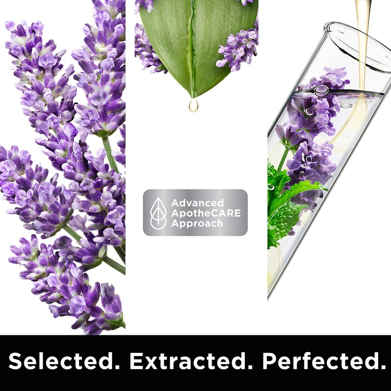 ApotheCARE Essentials The Colorist Shampoo, Lavender, Moroccan Mint, Cactus Milk,