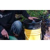 Gold Classifier for Five Gallon Bucket and Bonus Gold pan;