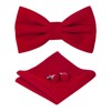 HOULIFE Bow Tie Set for Men – Adjustable Velvet Pre-tied