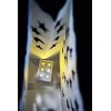 Quasimoon Sunburst Paper Luminaries / Luminary Lantern Bags Path Lighting