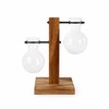 Desktop Hydroponic Plant Propagation Vase with Wooden Stand and 2