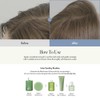 anillo [anillo]Lime Sunday Refresh Shampoo 450ml