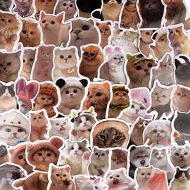 Sticker Kinder, 60 Stück Aufkleber Kinder, Katzen Sticker, Wasserfeste Sticker Set, Sticker Fotoalbum, Cute Sticker für Laptop, Wasserflasche, Gitarre, Koffer, Notebook