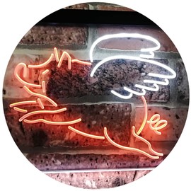Flying Pig Room Décor Dual Color LED Neon Sign White & Orange 12" x 8.5" st6s32-i3110-wo