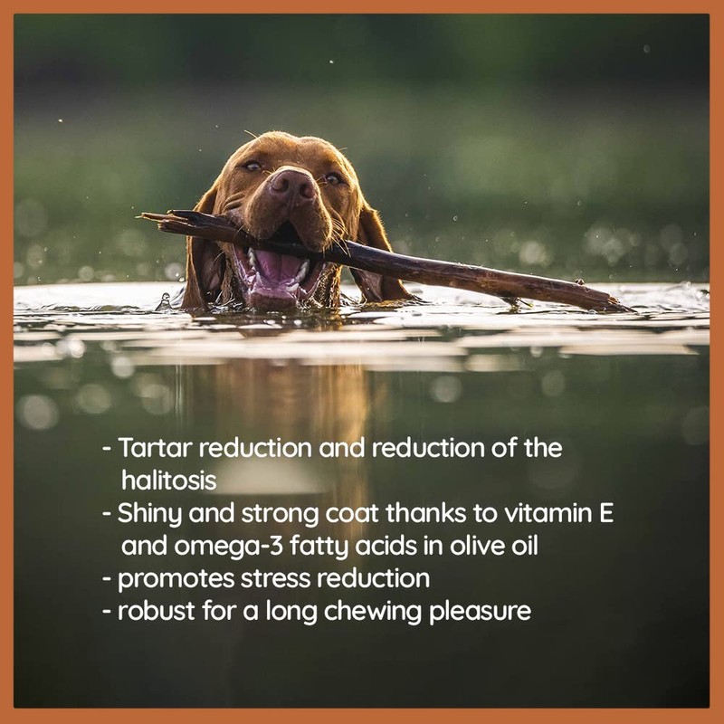 Wildfang® Olive Wood Chewing Sticks for Dogs, Small - Tough
