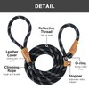 Petarea Petarea 5 FT Slip Lead Dog Leash, Heavy Duty