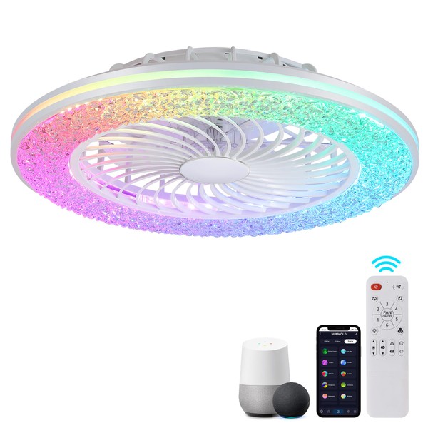 HUMHOLD 24 Inch Led Ceiling Fan, Enclosed Ceiling Fan with