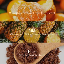 M&SENSE Natural Soy Candle| Sparkling Fruit Drops | 16.6 oz, 95H Burn | Minimalist Christmas Scented Candle for Relaxation, Gifting, Home Décor | for Bedroom, Office, Party Large