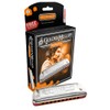 HOHNER GOLDEN MELODY/B Golden Melody 10 Hole Harmonica